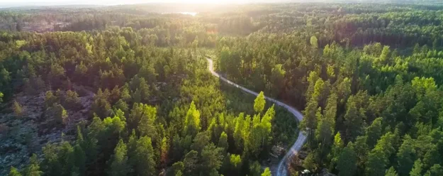 Hållbarhetscertifierad skog Hållbarhetscertifierad skog