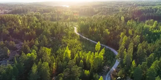 Hållbarhetscertifierad skog