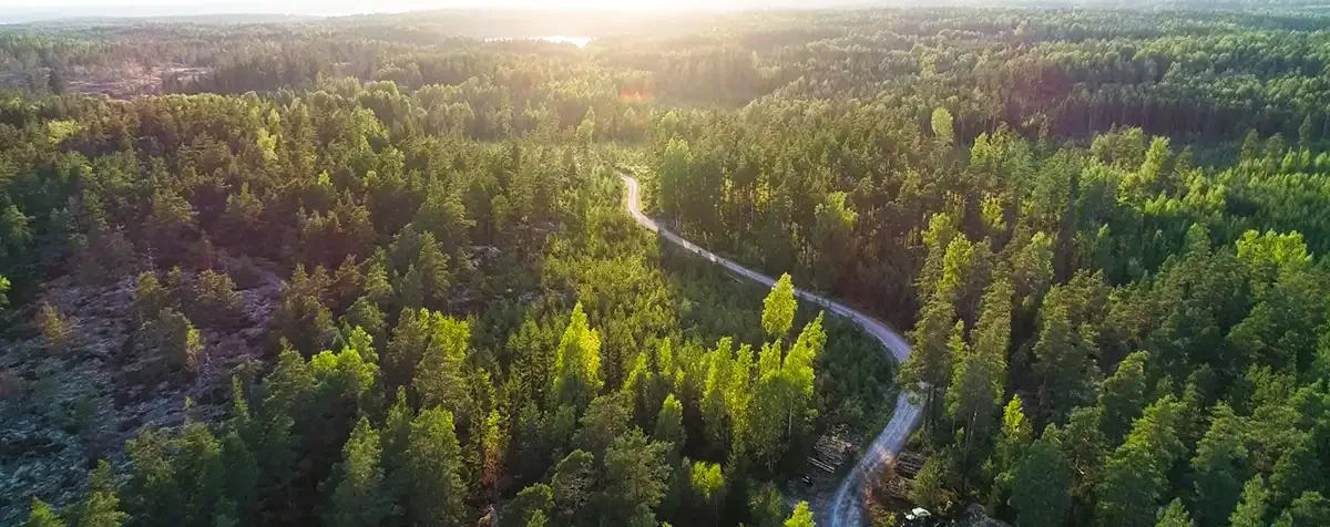 Hållbarhetscertifierad skog Hållbarhetscertifierad skog