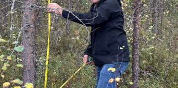 Folke Stenvall kan glatt konstatera att de förädlade plantorna växer väldigt bra