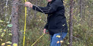 Folke Stenvall kan glatt konstatera att de förädlade plantorna växer väldigt bra