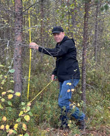 Folke Stenvall kan glatt konstatera att de förädlade plantorna växer väldigt bra