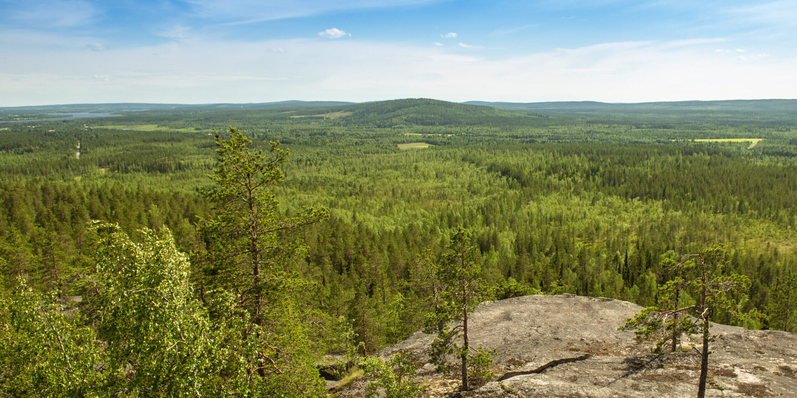 Stenvalls - Skogslandskap Tornedalen