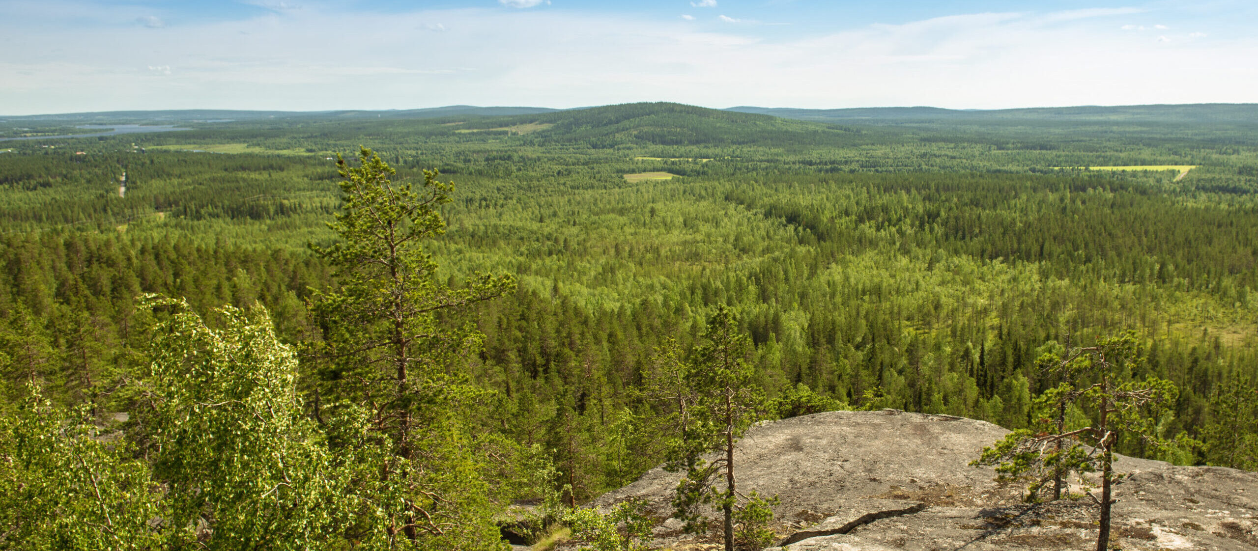 Stenvalls - Skogslandskap Tornedalen